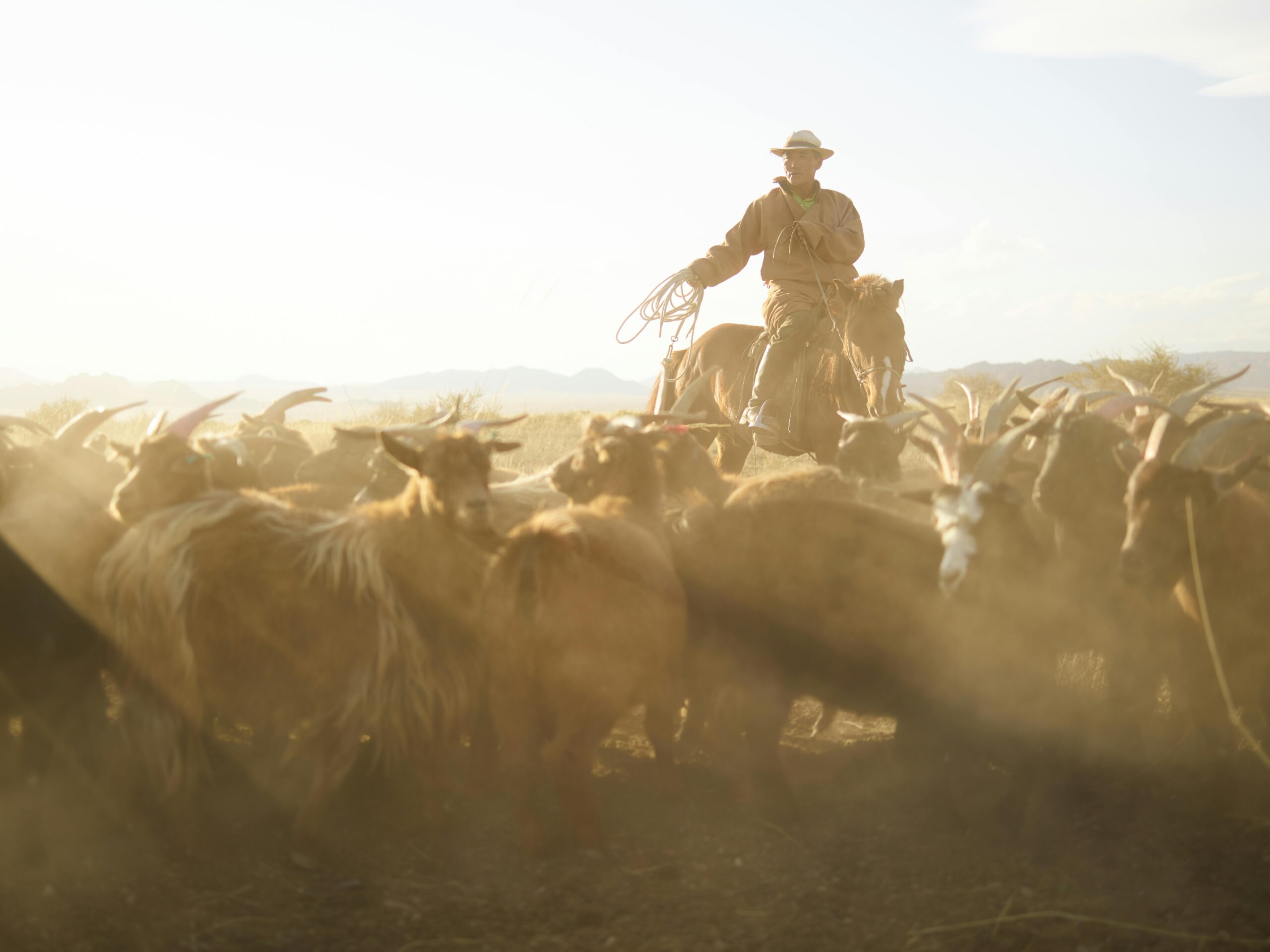 Mongolia: The Eternal Blue Sky Nation Preserving Nomadic Heritage